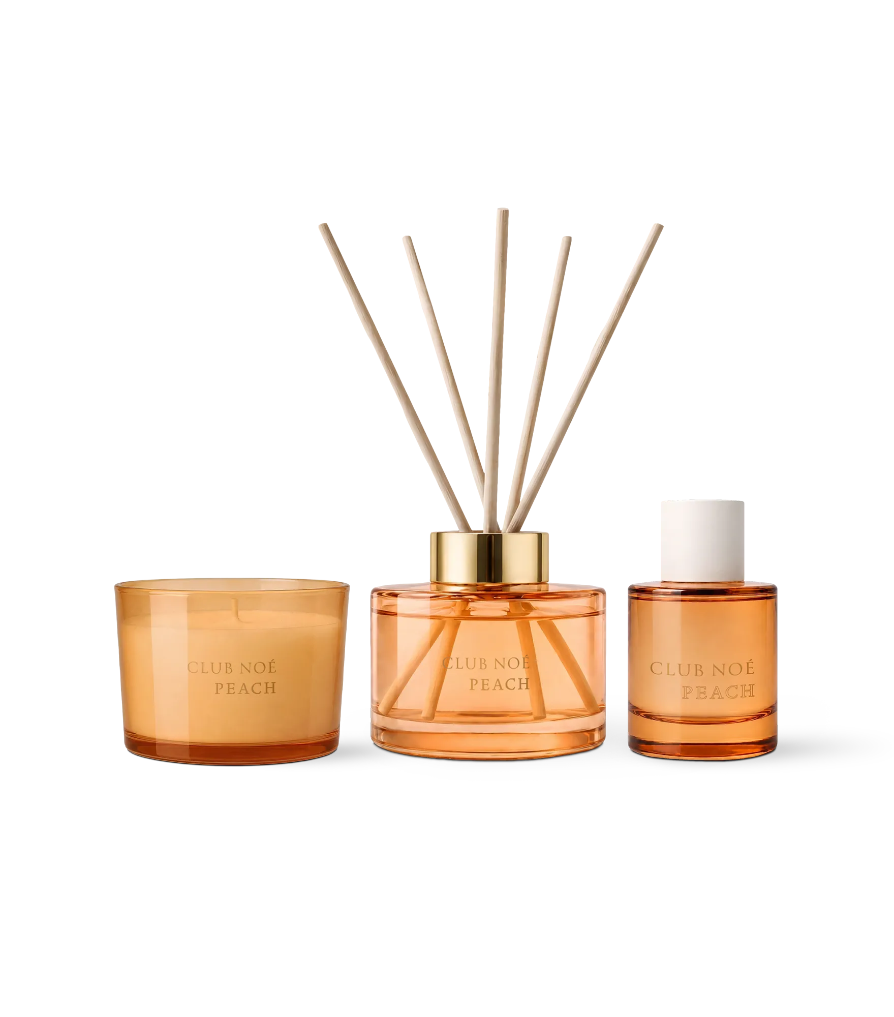 Coupon Collection AM/FY/CN - excludes all Car Scents & Vases.